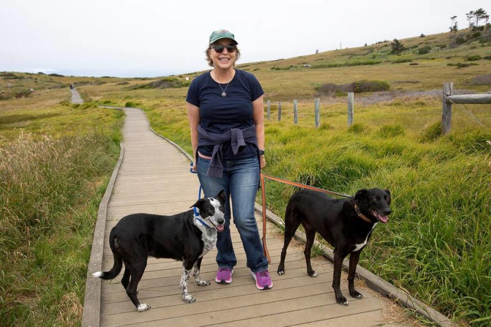 Fiscalini Ranch Preserve will soon have a closed-loop, ADA compliant boardwalk, a 1.6-mile trail along bluff-top and coastal prairie. Debi Thoresen, of Morro Bay, brings her dogs Taz, left, and Ace to walk the Bluff Trail boardwalk. Thoresen said she thinks the new boardwalk would be fabulous. “We live in such a remarkable area,” she said.