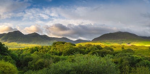 <span class="caption">Just 2% of Ireland is covered with native forest. </span> <span class="attribution"><span class="source">Dawid K Photography / shutterstock</span></span>