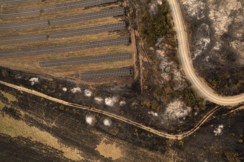 Burnt trees in the village of Avra, near Alexandroupolis town, in the northeastern Evros region, Greece, Wednesday, Aug. 23, 2023. Advancing flames are devouring forests and homes in Greece as wildfires that have killed 20 people are raging. (AP Photo/Achilleas Chiras)