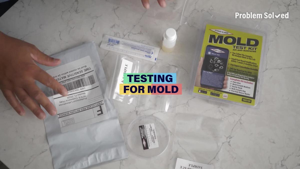 Home Mold Test Kit