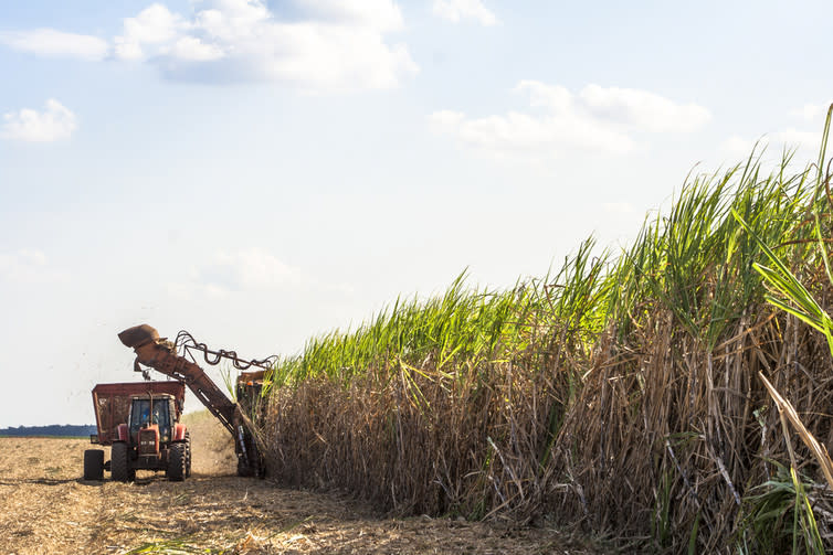 <span class="caption">Global sugar consumption has almost doubled since 1980.</span> <span class="attribution"><a class="link " href="https://www.shutterstock.com/download/confirm/380183302?src=cIWru9inFkvXAROVurQKxg-1-45&size=medium_jpg" rel="nofollow noopener" target="_blank" data-ylk="slk:Alf Ribeiro/Shutterstock.com;elm:context_link;itc:0;sec:content-canvas">Alf Ribeiro/Shutterstock.com</a></span>