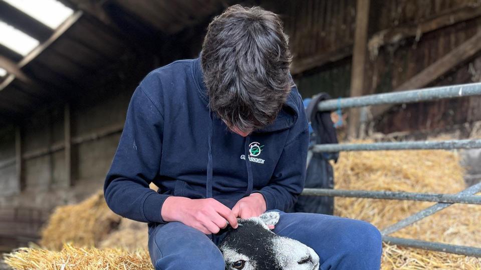amanda owen's son tending to sheep 