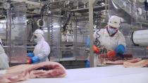 Olymel employees work in one of the companyÕs Quebec hog-slaughtering plants