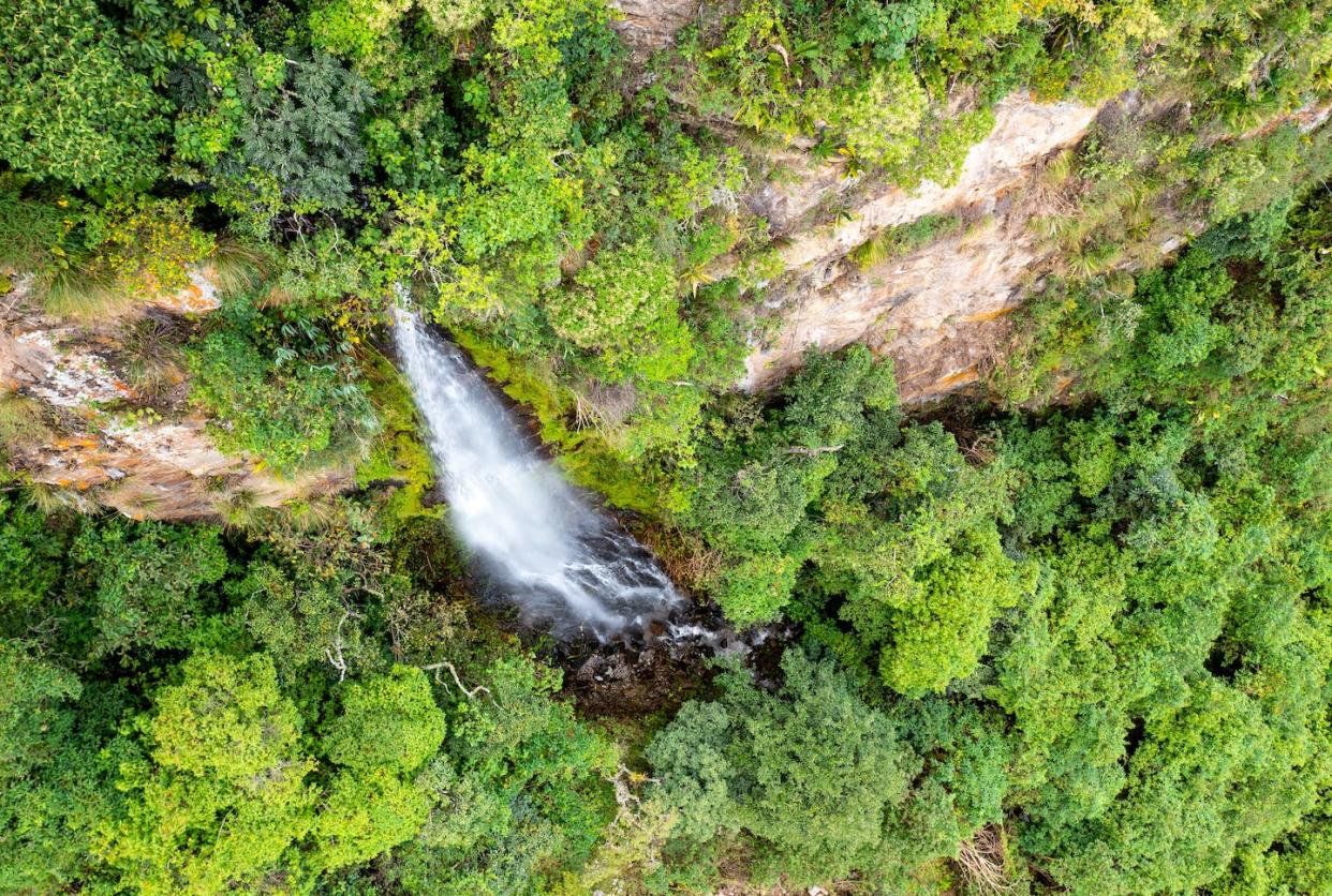 Vue aérienne d'une cascade dans la vallée du Vilcabamba en Équateur, où une rivière a gagné un procès historique en 2011. <a href="https://www.shutterstock.com/fr/image-photo/ecuador-waterfall-aerial-view-mountain-waterall-2150891681" rel="nofollow noopener" target="_blank" data-ylk="slk:Curioso.Photography/Shutterstock;elm:context_link;itc:0;sec:content-canvas" class="link ">Curioso.Photography/Shutterstock</a>