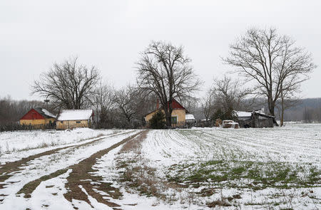 Houses stand near to the village of Asotthalom, Hungary, March 20, 2018. REUTERS/Bernadett Szabo