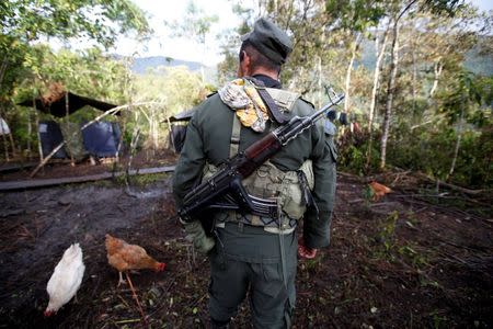 A member of the 51st Front of the Revolutionary Armed Forces of Colombia (FARC) walks at a camp in Cordillera Oriental, Colombia, August 16, 2016. REUTERS/John Vizcaino