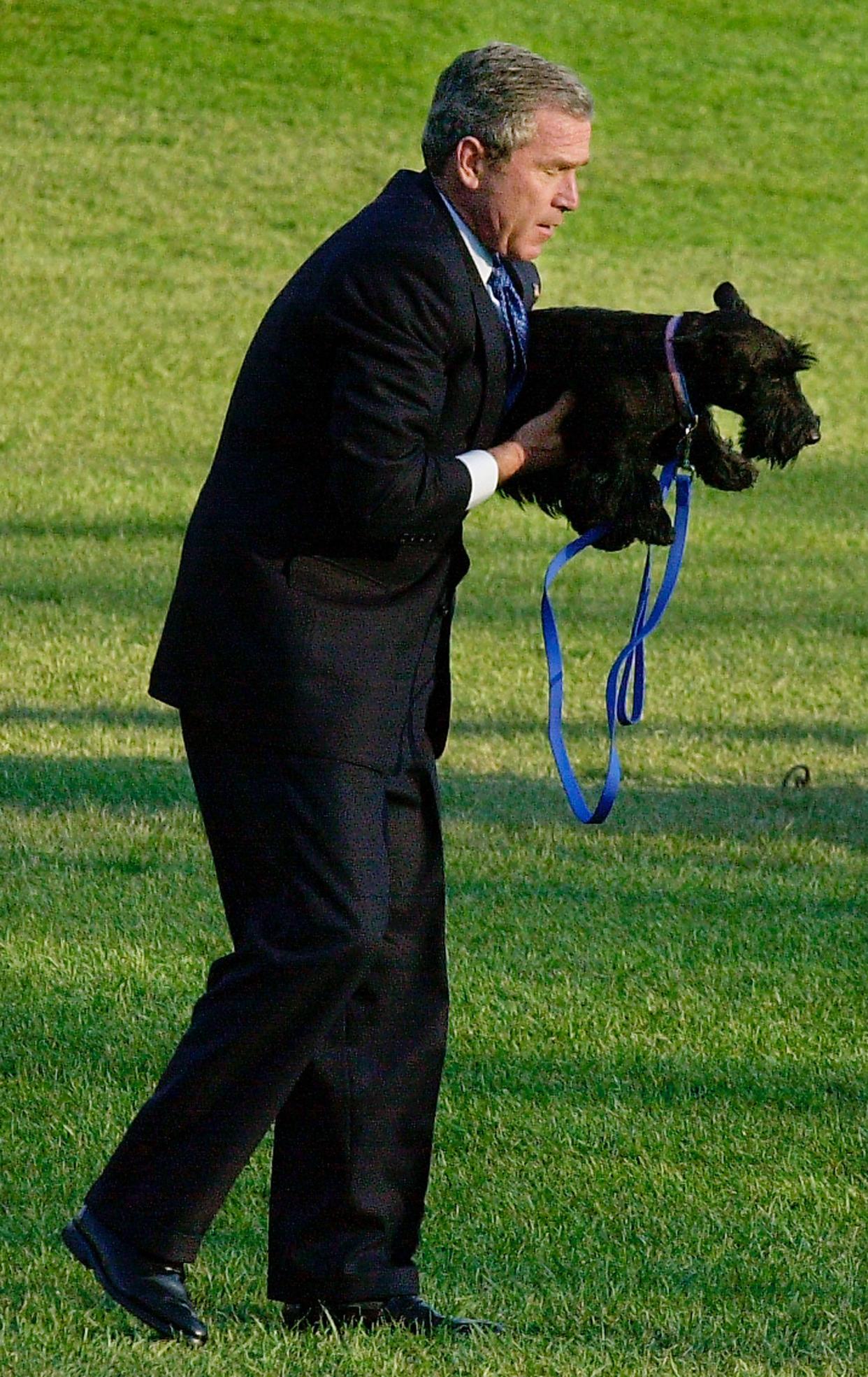 George W. Bush picks up his dog Barney as he walks on the South Lawn of the White House on April 4, 2002, in Washington, DC. (Mike Theiler/Getty Images)