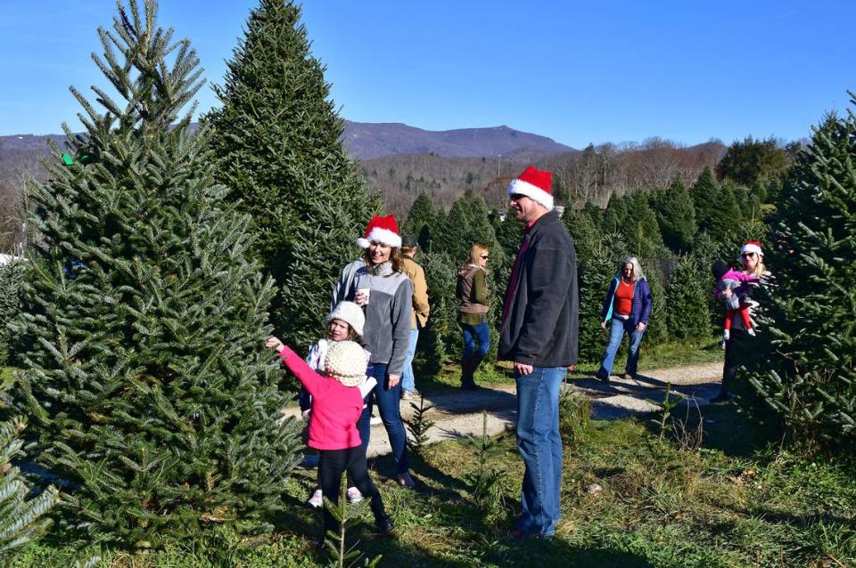 A family shops for a fresh Christmas tree in pre-coronavirus times.