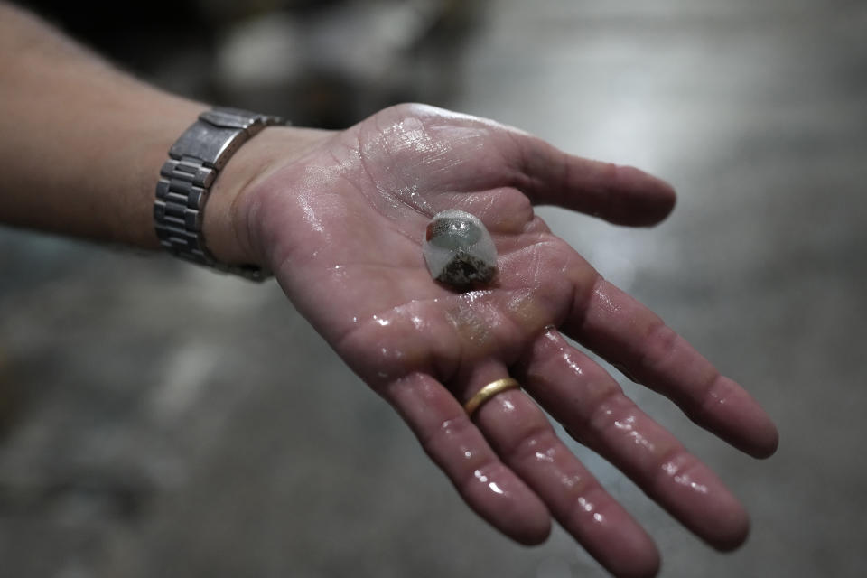 A worker shows a scale of pirarucu at the Nova Kaeru tannery factory in Tres Rios municipality, Rio de Janeiro state, Brazil, Tuesday, Oct. 11, 2022. Thousands of miles away from the Amazon, down a hilly dirt road on the outskirts of Rio de Janeiro, Nova Kaeru will process about 50,000 skins from legally-caught giant pirarucu or arapaima fish this year. (AP Photo/Silvia Izquierdo)