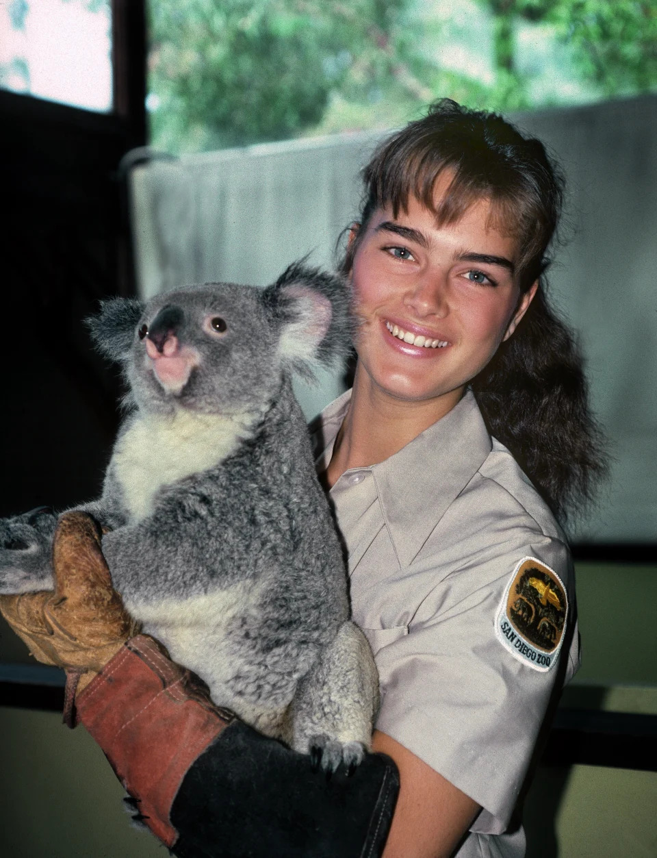 Брук Шийлдс се интернира в зоопарка в Сан Диего, когато беше в гимназията.  (Снимка: San Diego Zoo Wildlife Alliance)