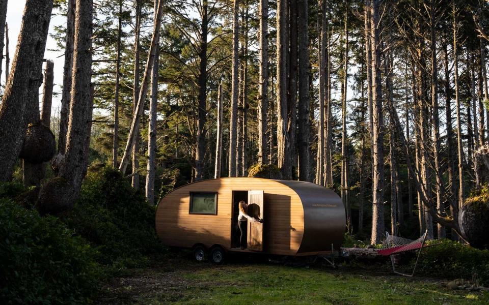 Airbnb Experiences Silent Forest experience