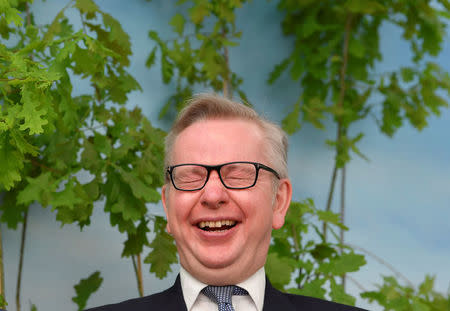 Britain's Environment Secretary Michael Gove reacts during a visit to the RHS Chelsea Flower Show in London, Britain, May 21, 2018. REUTERS/Toby Melville