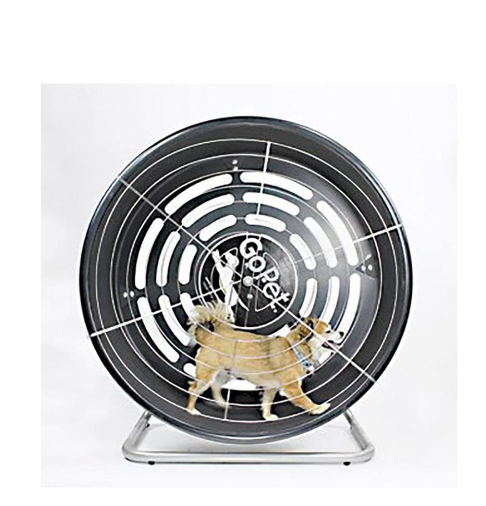 4) GOPET Treadwheel for Small Dogs