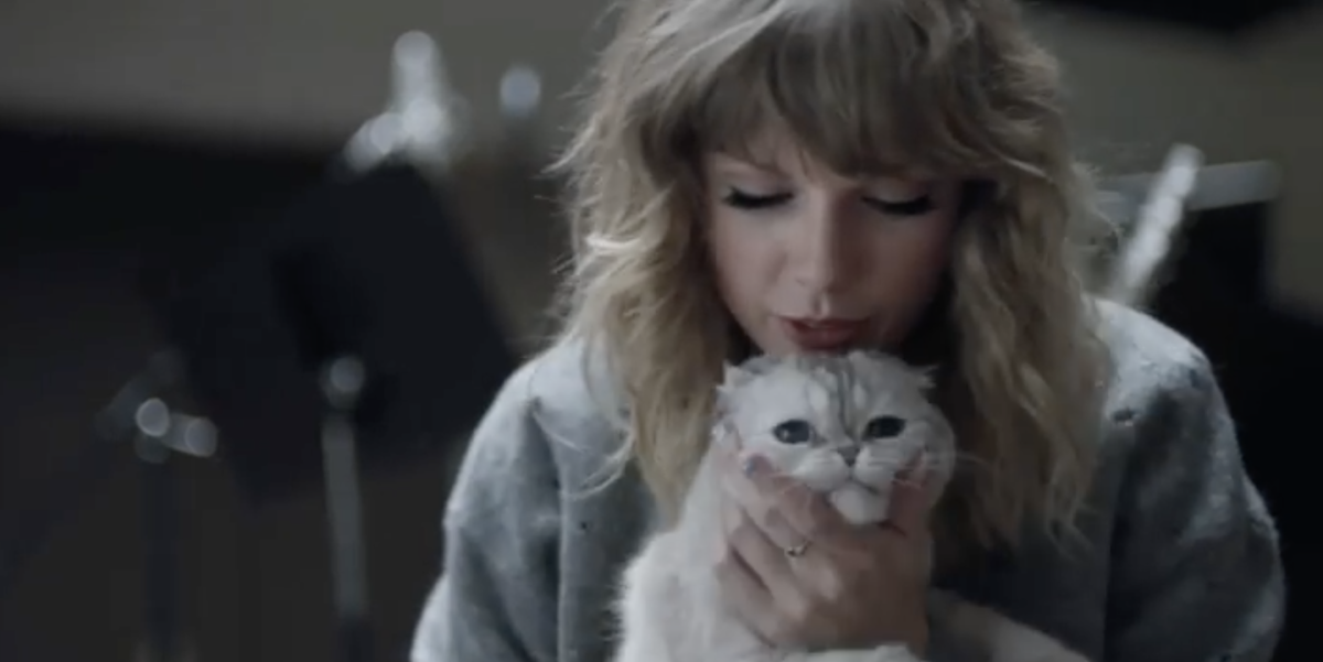 Taylor Swift's Cat, Olivia Benson, Has an Alleged Net Worth That's Out of  This World 💰🐱
