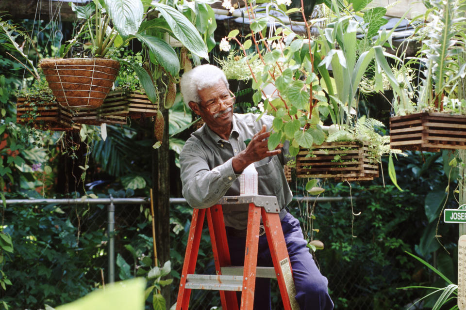 A man is tending to his garden