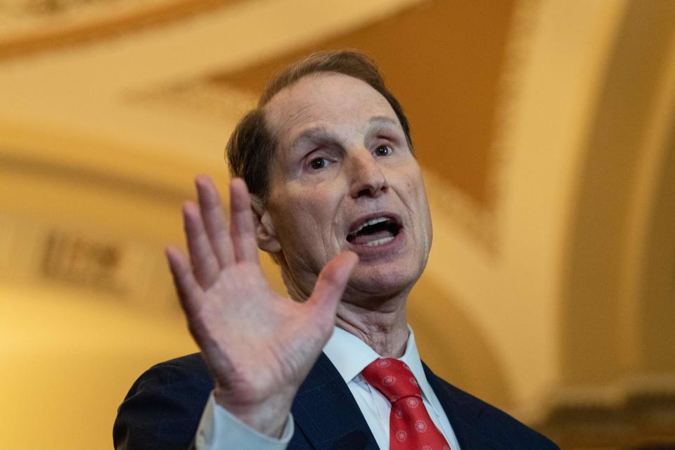 Sen. Ron Wyden (D-OR) speaks to the press after the Democratic weekly policy lunch at the Capitol in May. (Photo: Nicholas Kamm/AFP/Getty Images)