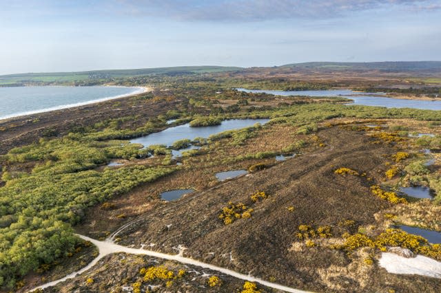 Purbeck Super National Nature Reserve