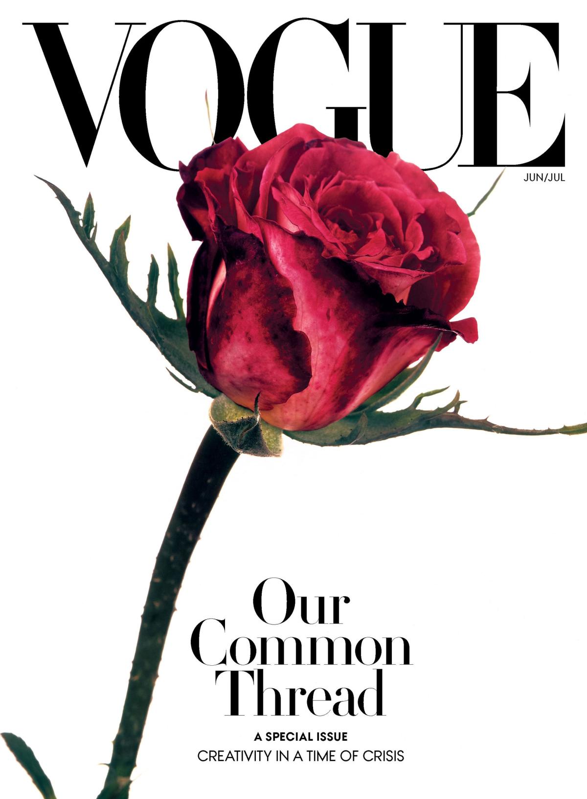 The Mighty Rose: The Story Behind Vogue 's June/July Cover