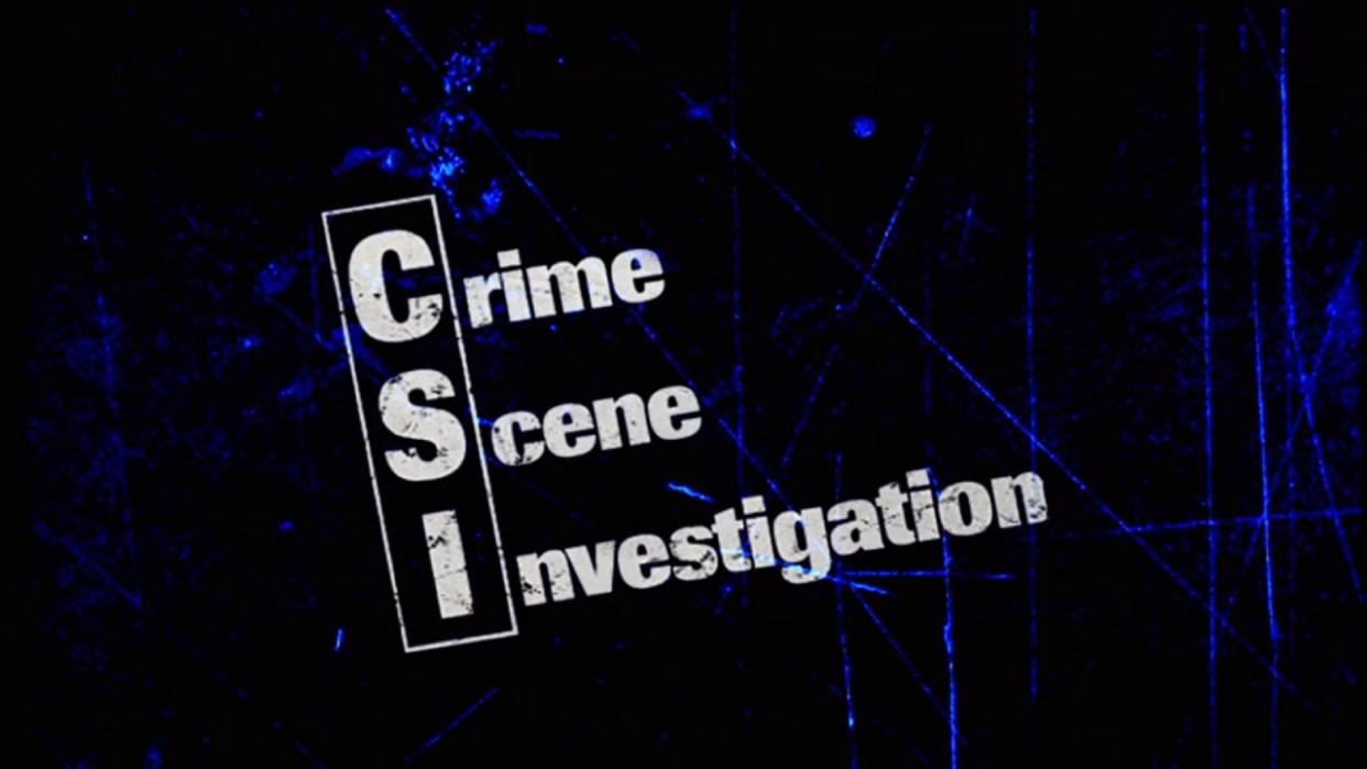  CSI logo screenshot. 