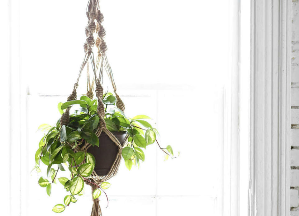 Buy or DIY: 7 Hanging Planters for the Great Indoors