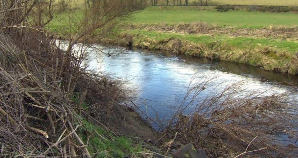 River Faughan 