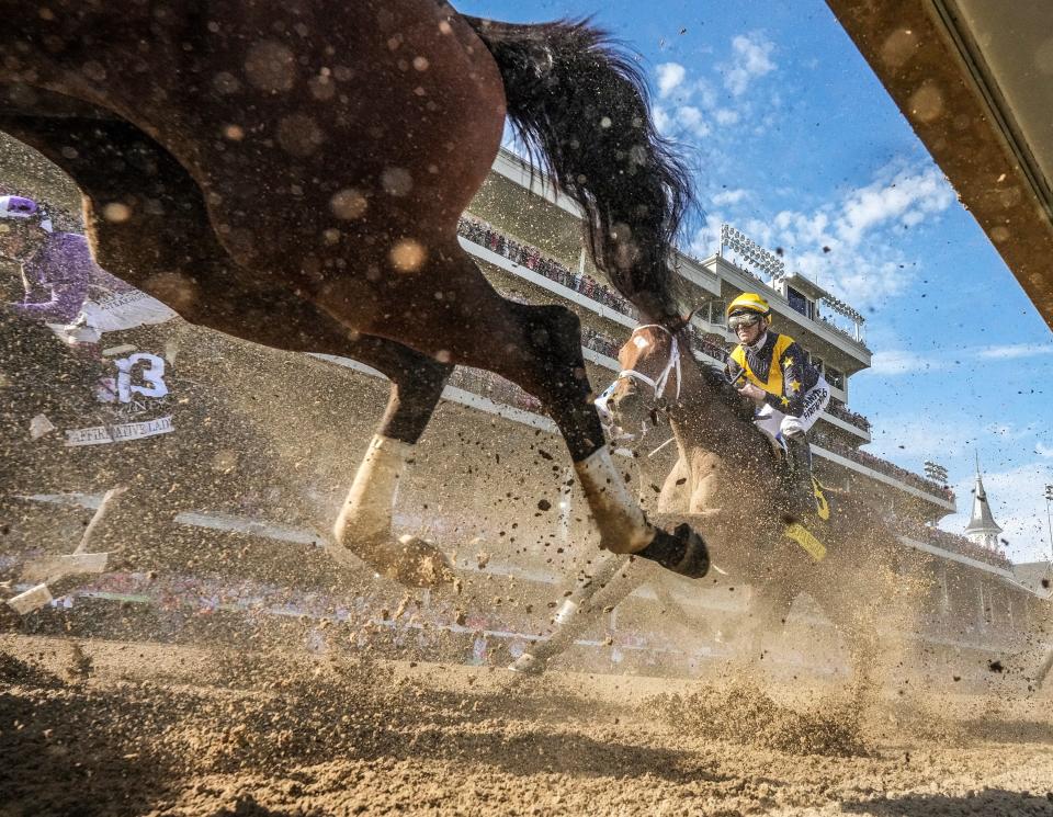 After 12 horse deaths in a span of 30 days, Churchill Downs was forced into taking immediate action. Its Spring Meet, which still has a month of races left, will be continued at Ellis Park in Henderson starting June 10.