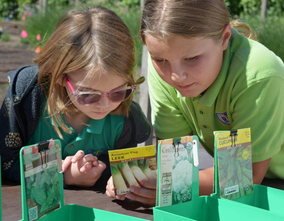 Claire Enserink, left, and Robin Vande Pol learn to read seed packets at Garden Joy in Ripon, California, on May 15, 2024.