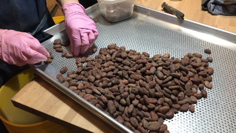 Quebec chocolate maker joins growing bean-to-bar movement