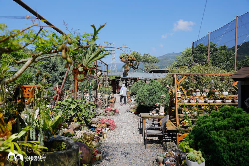 宜蘭員山｜木渠多肉花果農場