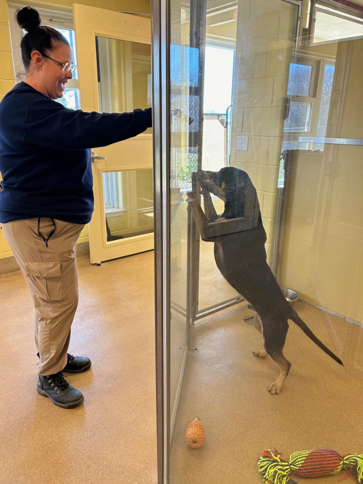 Patty Claus feeds a treat to Carlos, an adoptable dog at the Toms River animal shelter.