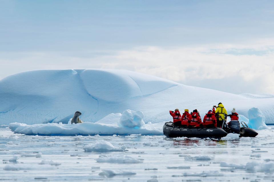 Adventures by Disney Expedition Cruises – Wildlife Viewings in Antarctica