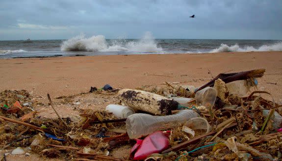 A plastic bottle lies among other plastic debris washed ashore on the Indian Ocean beach in Uswetakeiyawa, Sri Lanka.