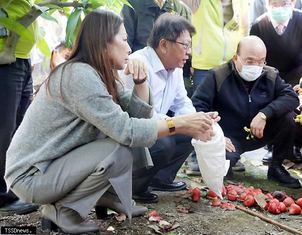 行政院長蘇貞昌（右）勘查屏東蓮霧寒害情形。<br /><br />（記者毛莉攝）