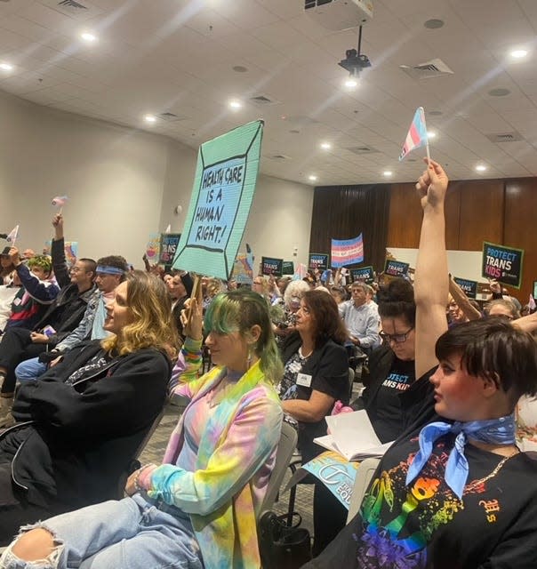 Transgender individuals and supporters wave flags and signs at the Florida Board of Medicine hearing earlier this year.
(Credit: Lee Beaudrot)