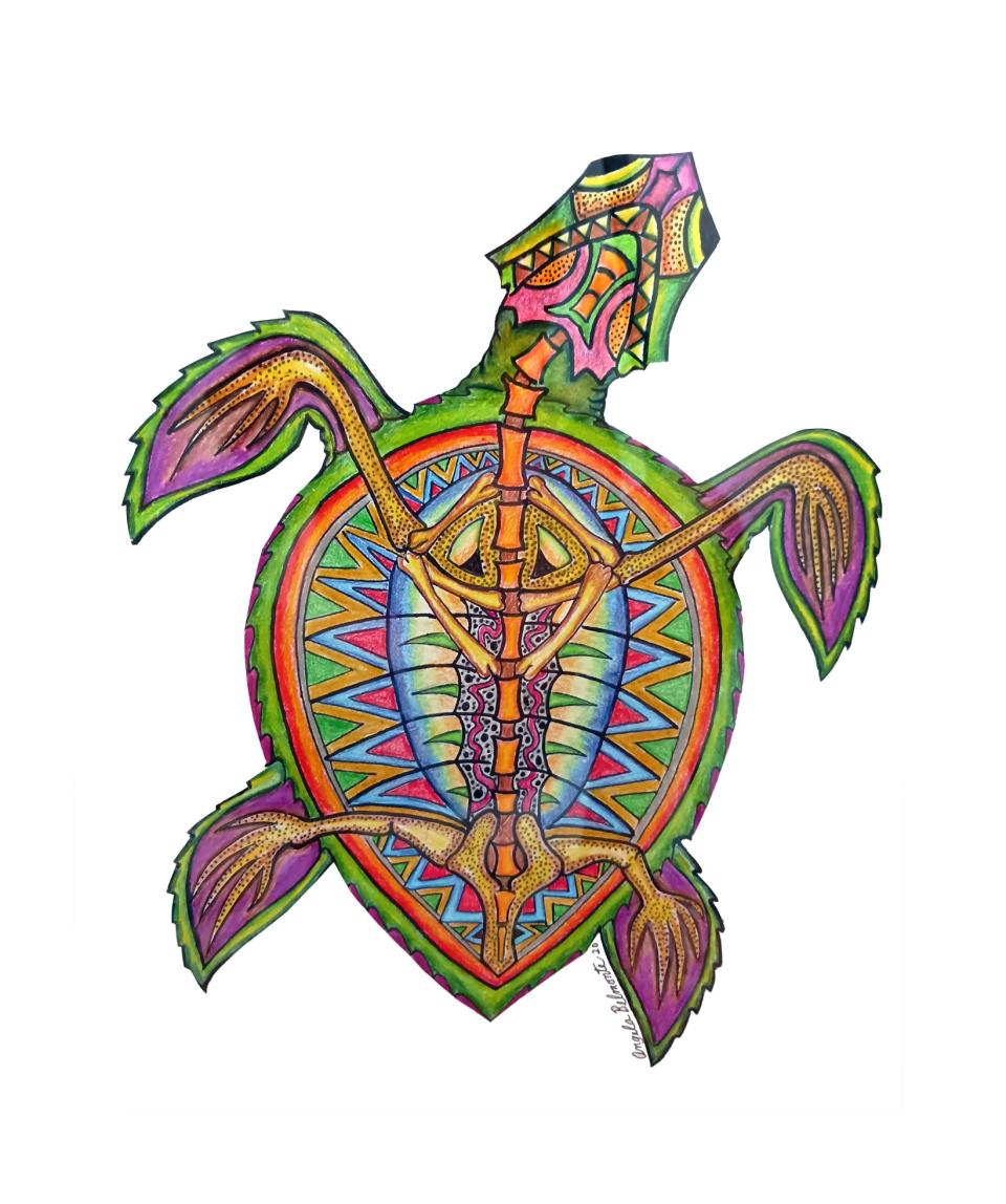 Angela Belmonte's 'Turtle,' drawn in 2020.