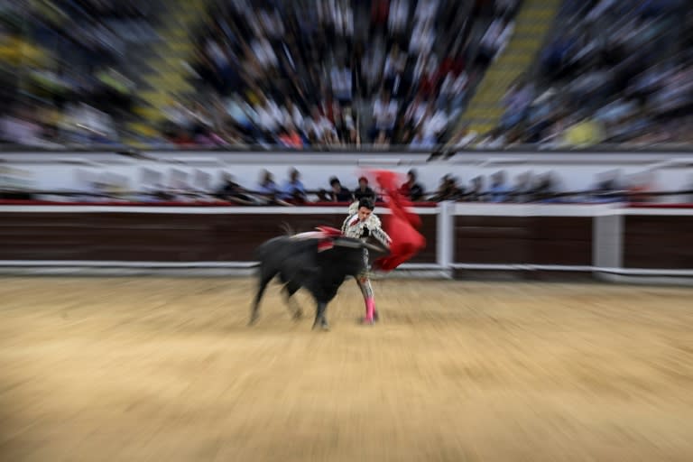 Le torero colombien Juan de Castilla se produit lors d'un spectacle tauromachique, le 27 décembre 2023 à Cali en Colombie (JOAQUIN SARMIENTO)