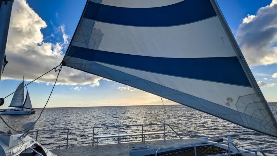 A picture of a catamaran sunset tour