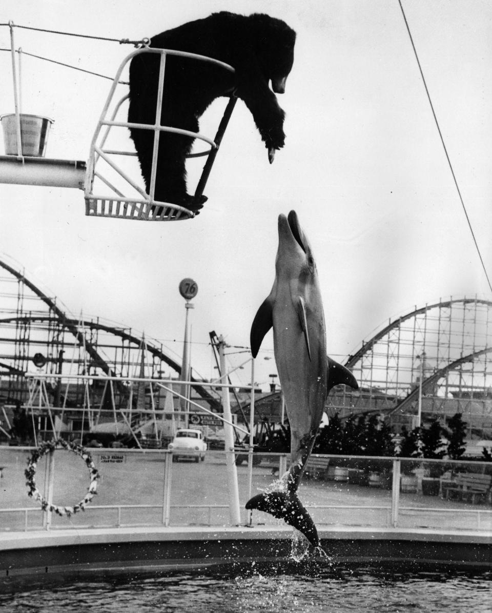 Vintage Amusement Park Photos Getty00009