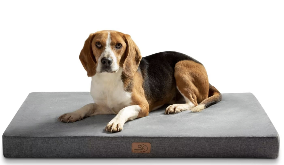 Das Bedsure Hundebett schont die Wirbelsäule dank Memory Foam. (Bild: Amazon)