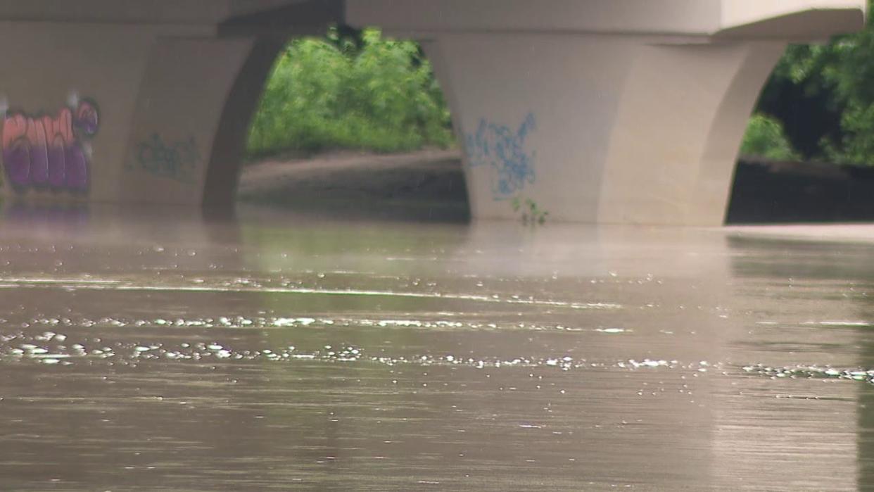 <div>Water levels on the Minnesota River at Winkel Park in Chaska.</div>