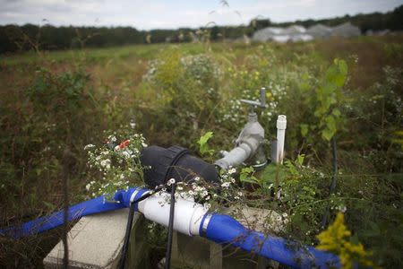 An irrigation pump is seen on the farm of Morris Gbolo, 57, originally from Liberia, in Vineland, New Jersey, October 9, 2015. REUTERS/Mark Makela