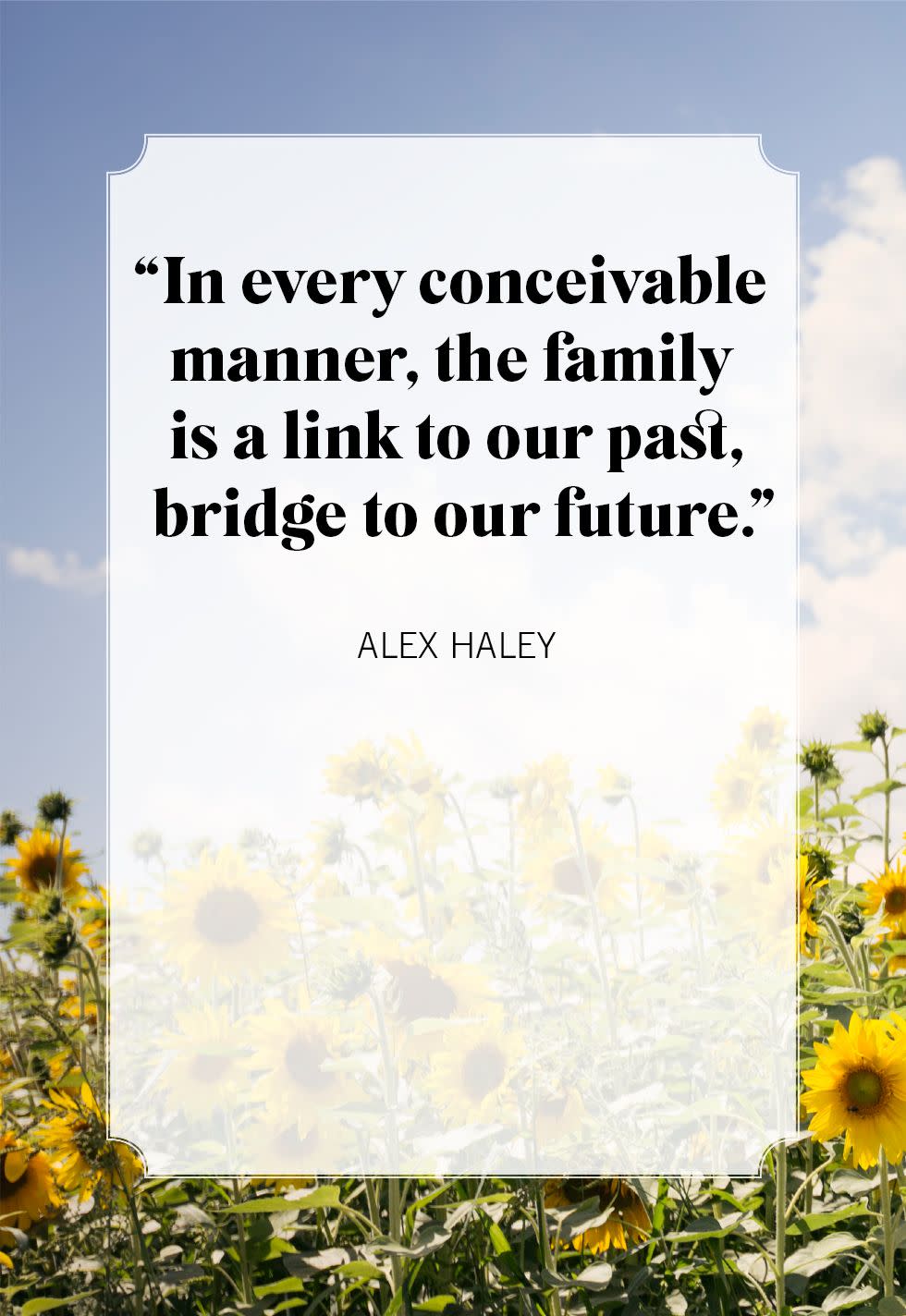 family quotes alex haley