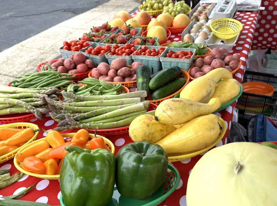 The new Loudonville Farmers Market will open Saturday, and run each Saturday, except one, through the end of September. It will be held in Central Park.