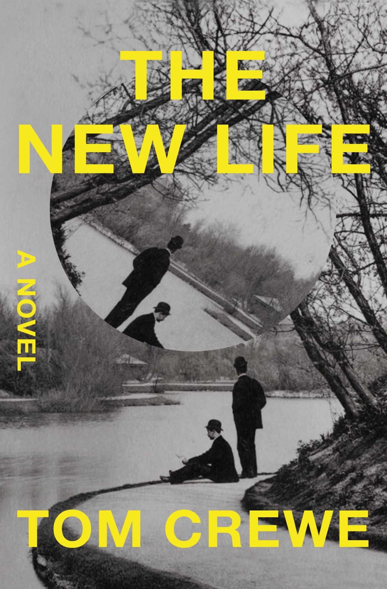 "The New Life," by Tom Crewe