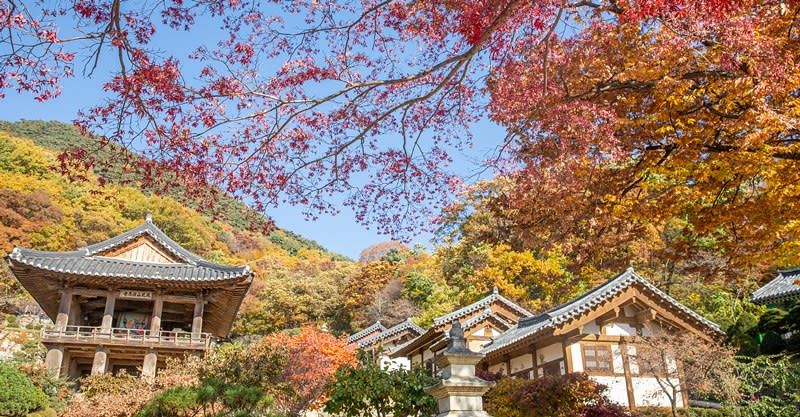 浮石寺