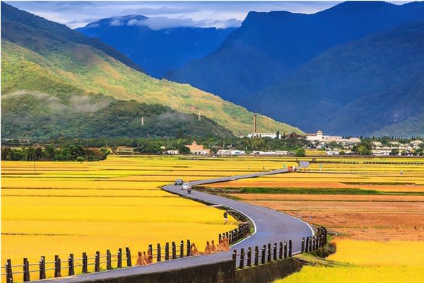 伯朗大道 (圖片來源／花東縱谷國家風景區管理處)