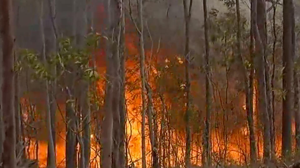 Fires have already destroyed one home in Queensland and bushfires continue to spread 'quickly' in NSW. Source: ABC News.