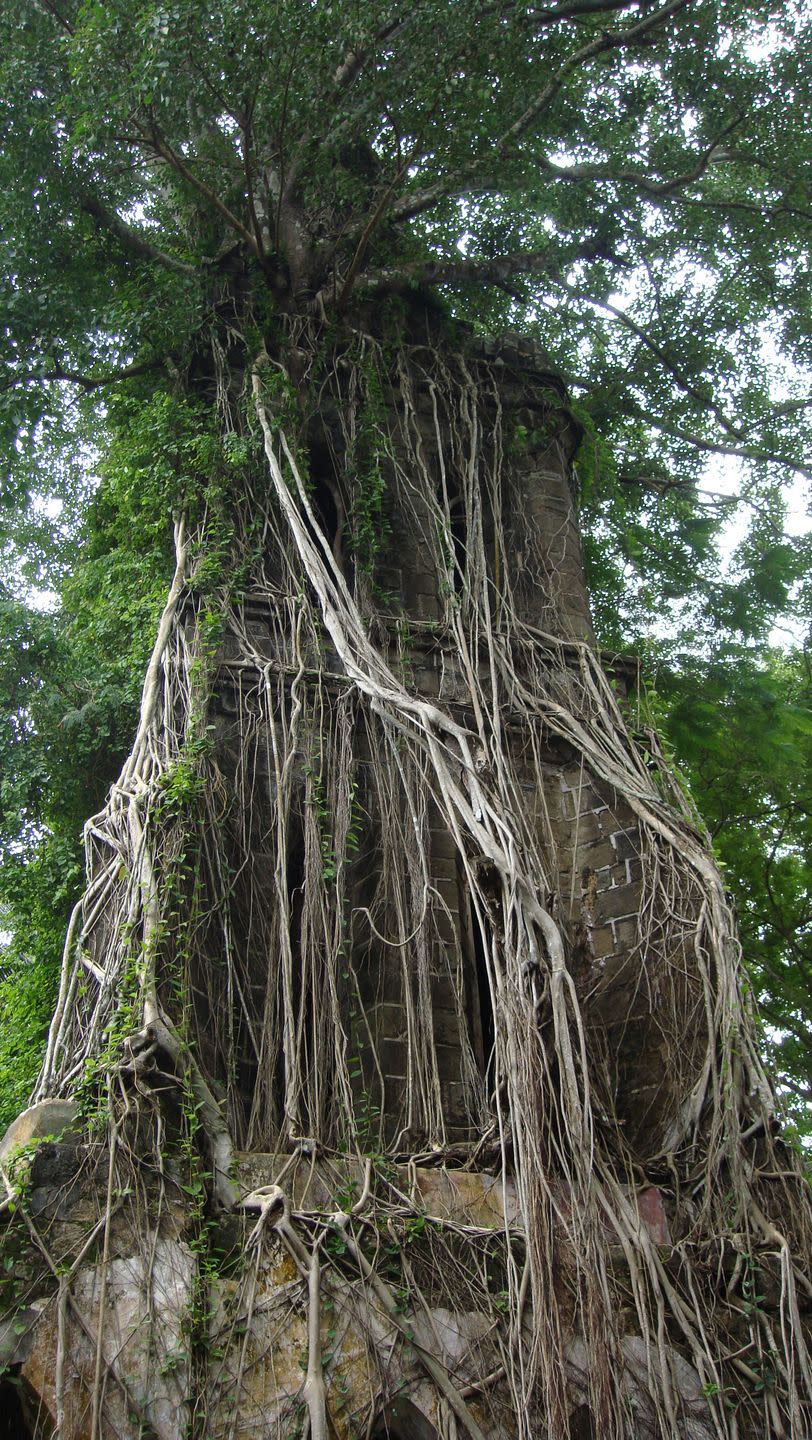 10) Ross Island, India