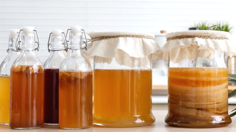 Jugs and bottles of kombucha