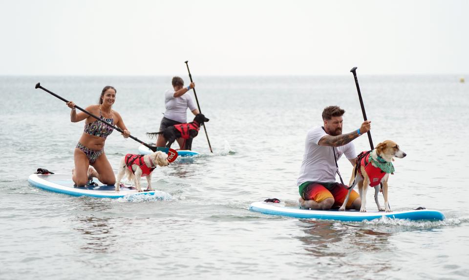 Dogs and their owners took to the sea on Sunday morning in the annual Dogmasters competition (Andrew Matthews/PA) (PA Wire)